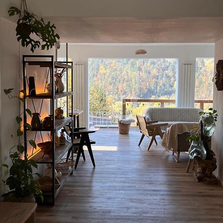 Shard Boutique Hotel-Adult Only Braşov Eksteriør billede
