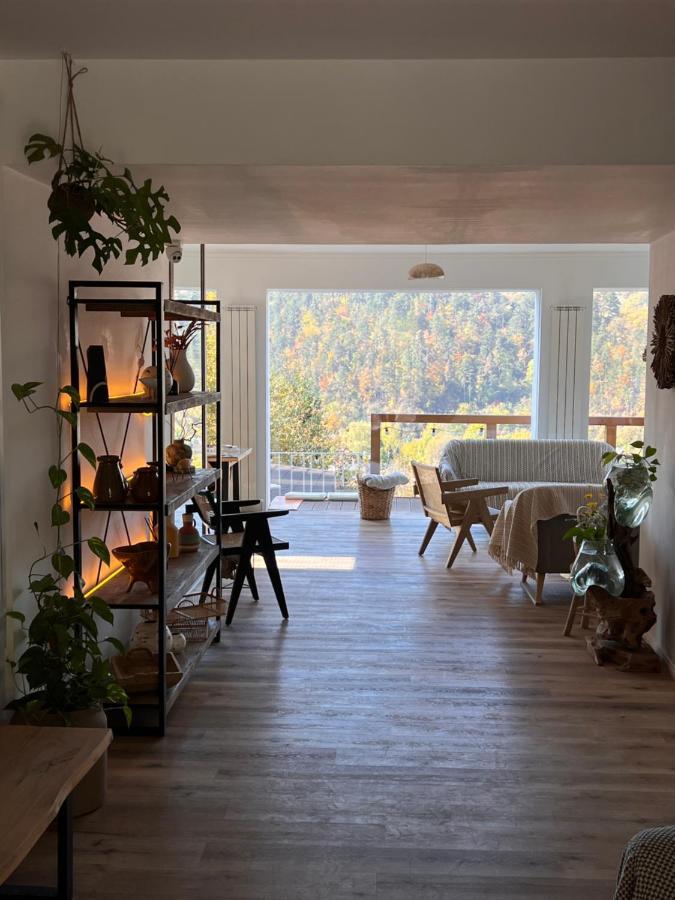Shard Boutique Hotel-Adult Only Braşov Eksteriør billede
